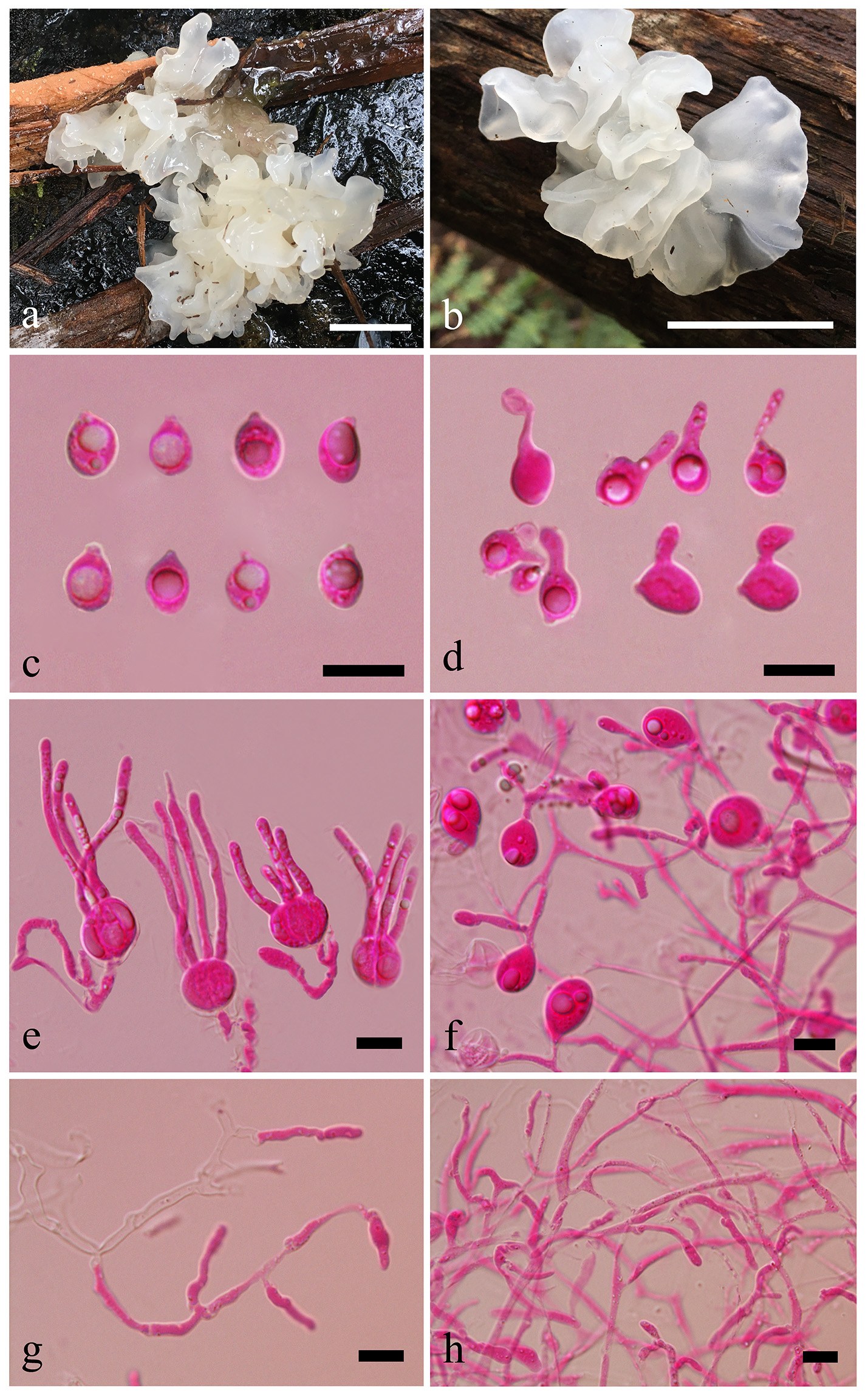 Figure 92